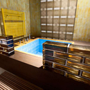 SEVES Glasziegel VOLLGLASZIEGEL  SOLID GLASS  BRICKS BLOCK    BRIQUES DE VERRE    MATTONI DI VETRO GLASSTEIN   GLASZIEGEL   GLASKLINKER   LADRILLO DE VIDRIO   TOJOLOS DE VIDRO  GLAS STAKLENU CIGLU  GLAS MURSTEN BLOK  GLAZEN STENEN  STEKLENA OPEKA KLAAS TE