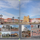 06.07.2019 - Timisoara