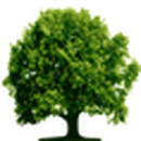 Arboles