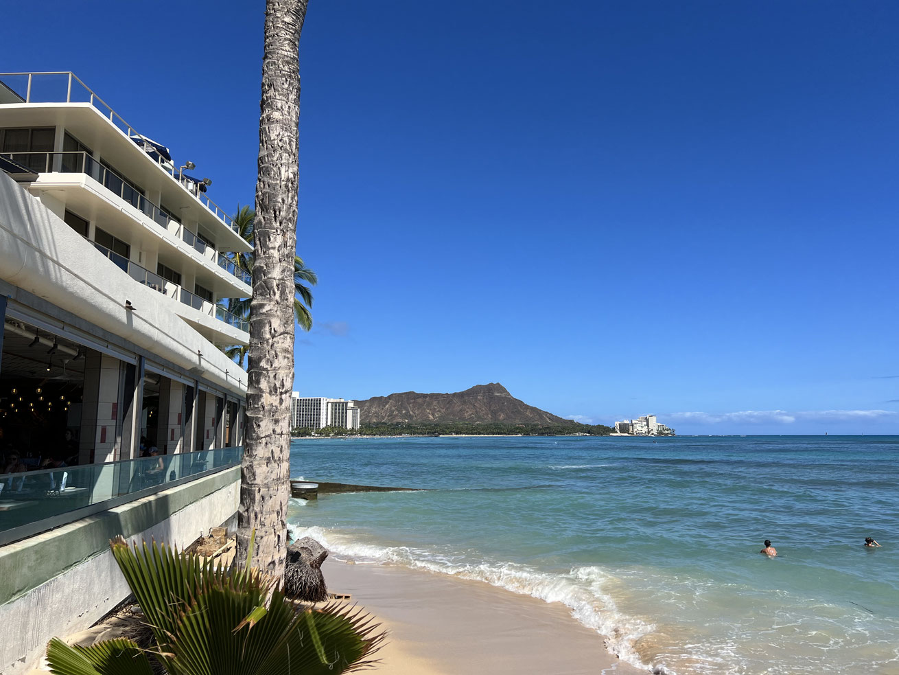 Monkey Pod Kitchen ハワイ ワイキキ サーフショップ KAION （カイオン） at WAIKIKI SHORE 公式