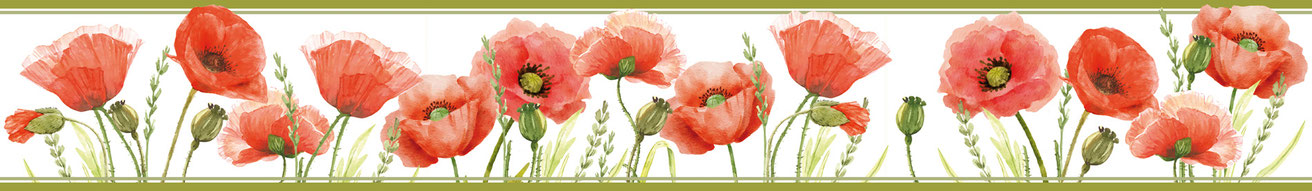 romantische Wandbordüre mit roten Mohnblumen und grünen Gräsern auf weißem Grund - Hergestellt in Deutschland - meinBordürenladen
