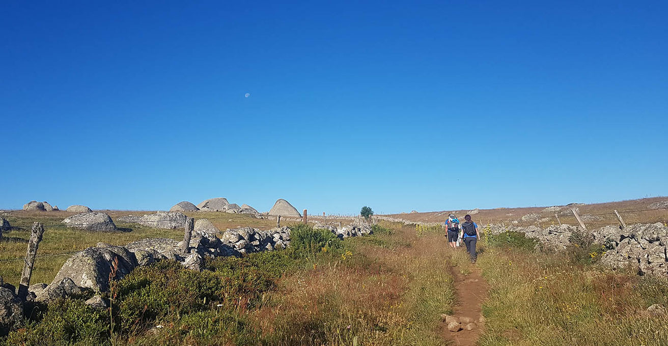 Accompagnement de Charlotte Courcoul  sur les chemins de compostelle