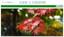神野新田公式目次サイト12