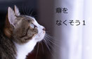 癖をなくそう