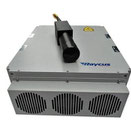 Raycus power laser source 20W 30W 50W 60W 100W