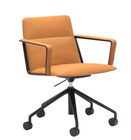 CAPRI executive