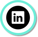 LinekdIn icon