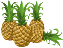 Ananas