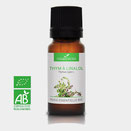 Essential oil Thyme Linalool