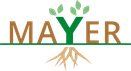 Yvonne Mayer Reutlingen Pfullingen Rommelsbach Tübingen Heilpraktiker für Psychotherapie Körperpsychotherapie IoPT Aufstellen Trauma Autonomie TRE Stressabschütteln Neurogenes Zittern Trance Dr. Christof Knöß Hypnosetherapeut Hypnosetherapie NGH