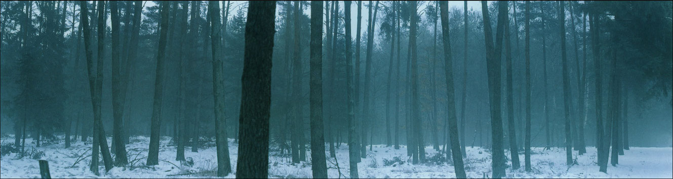 1982