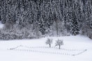 Monte Grappa (neve)