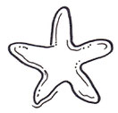 Stern-Kissen