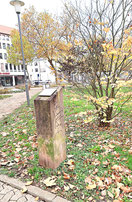 2. Ohase geschenkten Leben 2016 - Stengelpark Saarbrücken
