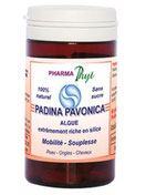 PADINA PHARMA PHYT