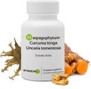 HARPAGO + CURCUMA ANASTORE