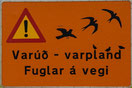 Attention oiseaux en vol