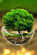 Ateliers de Psychogénéalogie Katia GEFFARD à Blere - annuaire des thérapeutes via energetica