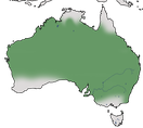 Karte zur Verbreitung des Weißbauch-Staffelschwänze (Malurus lamberti) in Australien.