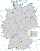 Karte zu den Beobachtungen des Kleinen Gelbschenkels in Deutschland