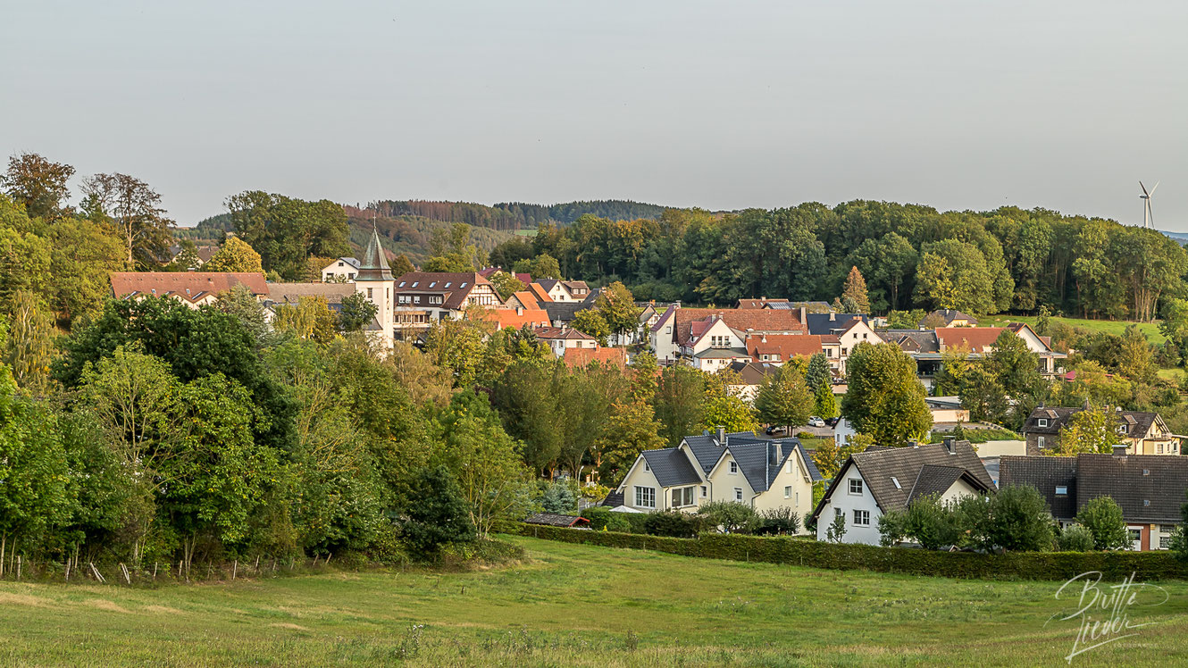 sauerland, wanderung, aussicht, see, aussichtsturm, ebbergturm, eisborn, kleine, rundwanderung