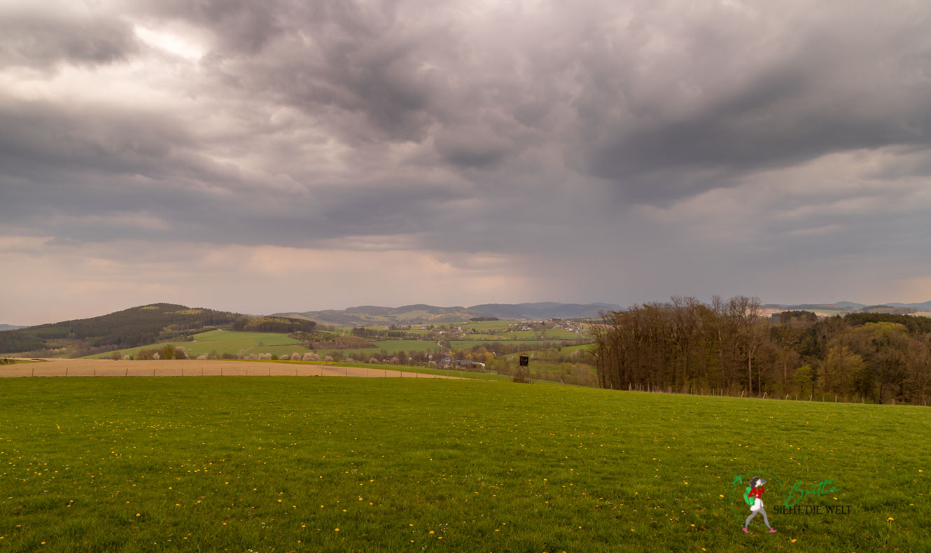 sauerland, wandern, wanderung, arpe, schmallenberger, rundwanderung, infos, tipps, lauschpohl, aussicht, werntrop