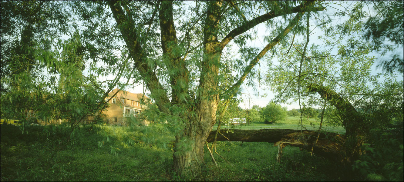 1990