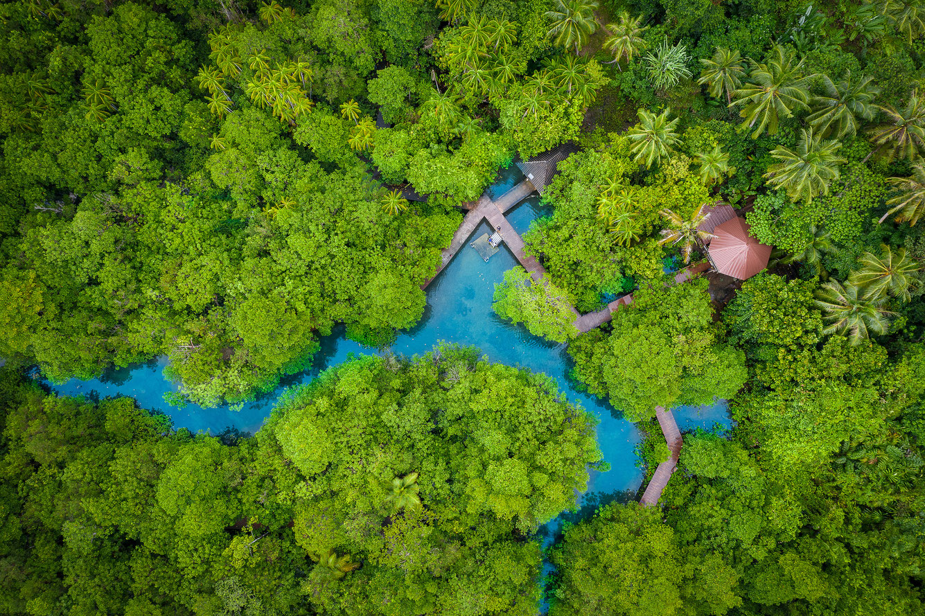 Khlongs der Krabi-Mangroven