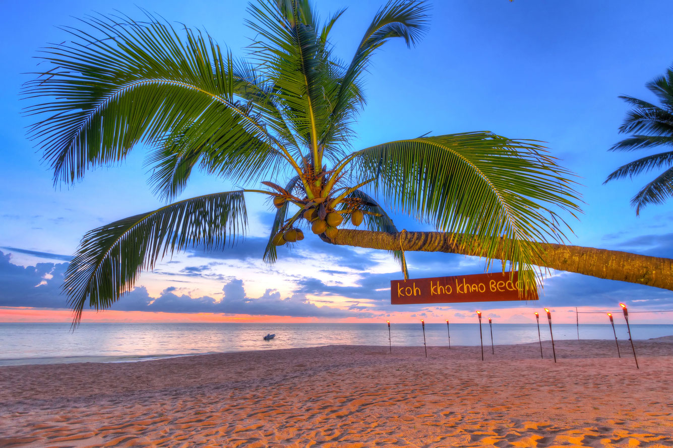 Coconut palm tree at sunset on Koh Kho Khao island
