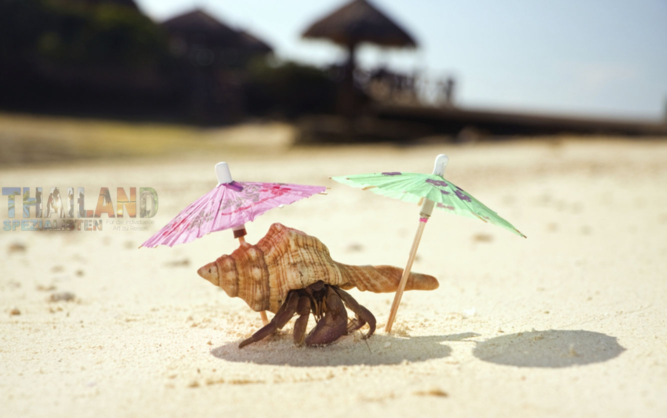 Kreatives Strandbild mit 2 Sonnenschirmen für Cocktails