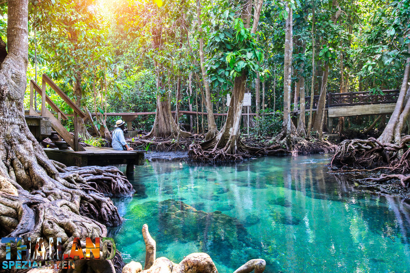 Emerald Pool - Sehenswürdigkeit in Krabi