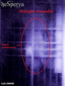 2 - dettaglio anomalia