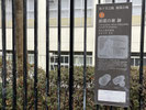 2026/02 PHOTO