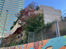 2025/11 PHOTO
