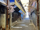 2026/02 PHOTO