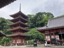 2025/06 PHOTO