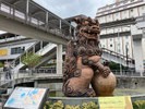 2025/12 PHOTO