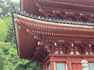 2025/06 PHOTO