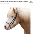 Islandtrense bei Loesdau