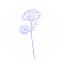 Blume in weißem Kreis