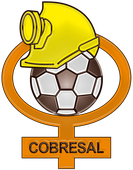 CLUB DE DEPORTES COBRESAL (CHI)