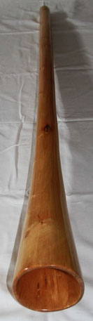 Didgeridoo Birke