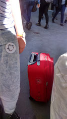 The Laietan reporter Irene (@PinguinoLector) and her suitcase