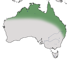 Karte zur ´Verbreitung des Rotrücken-Staffelschwanz in Australien.