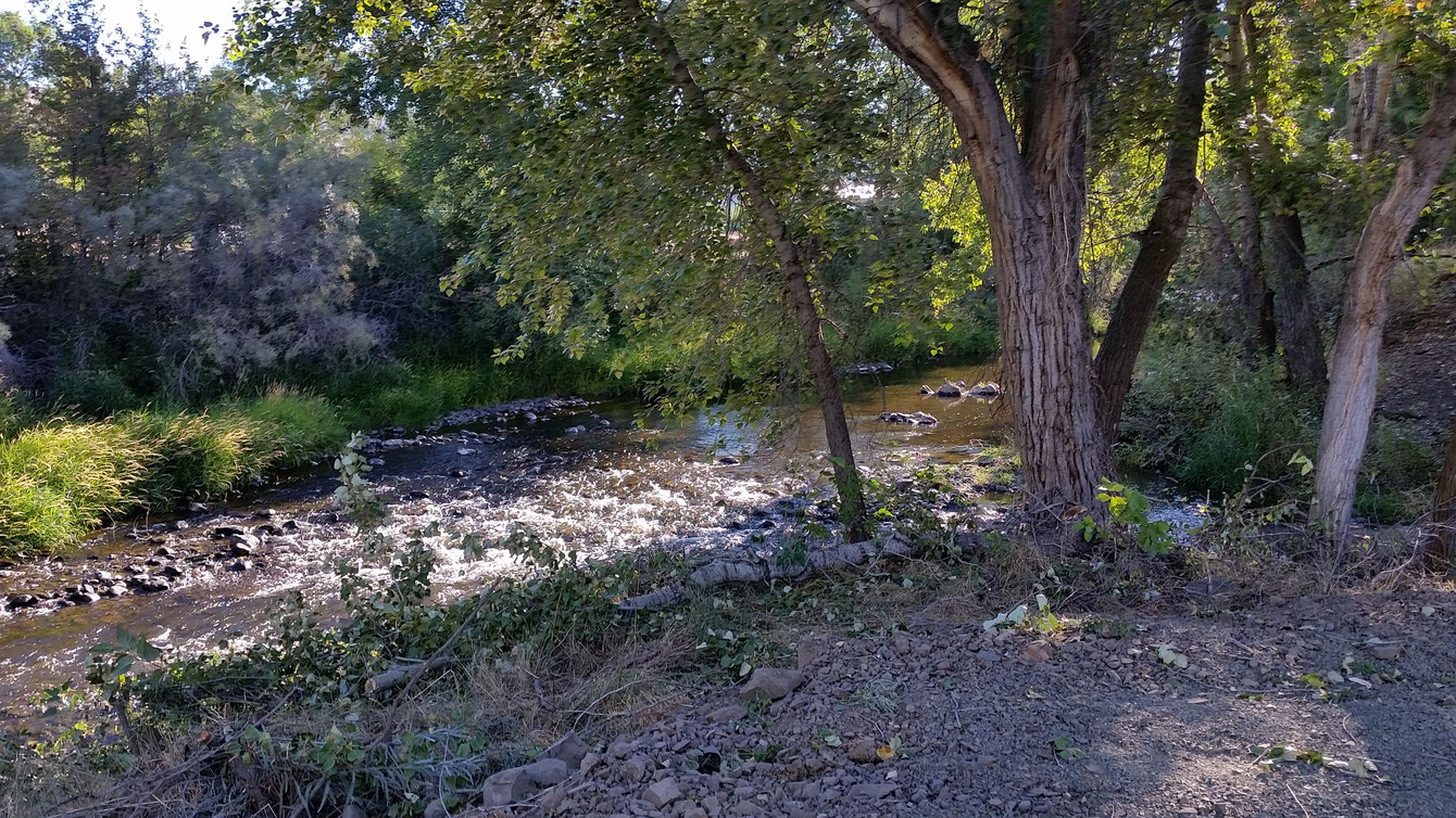 Riverfront Park site of riversidemhp!