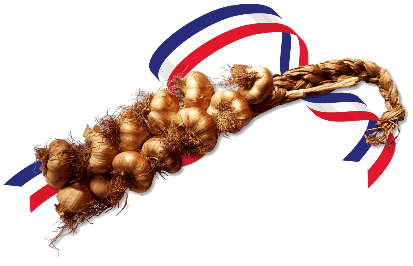 Zopf; geräuchert; Knoblauch; Frankreich; Nordfrankreich; Ail; fume; fumé; Knobi; Knolle; Kibu; Kibü; Würze; KibüWürze