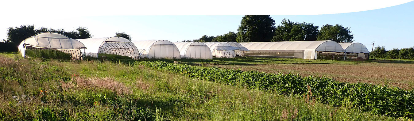 photo des serres du jardin de Charly, lors d'une journée ensoleillée