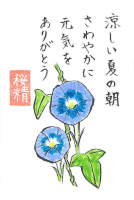 絵手紙　朝顔　夏　7月