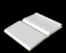 libro digital (iussu//calameo)