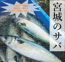 宮城県懸賞-宮城のサバ-プレゼント